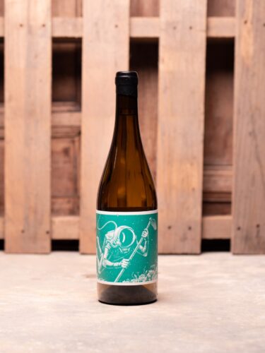 EL MOZO ‘EL COSMONAUTA EN EL BARRANCO DE AGUA’ 2024