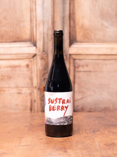 ARISTU ‘SUSTRAI BERRY’ 2024